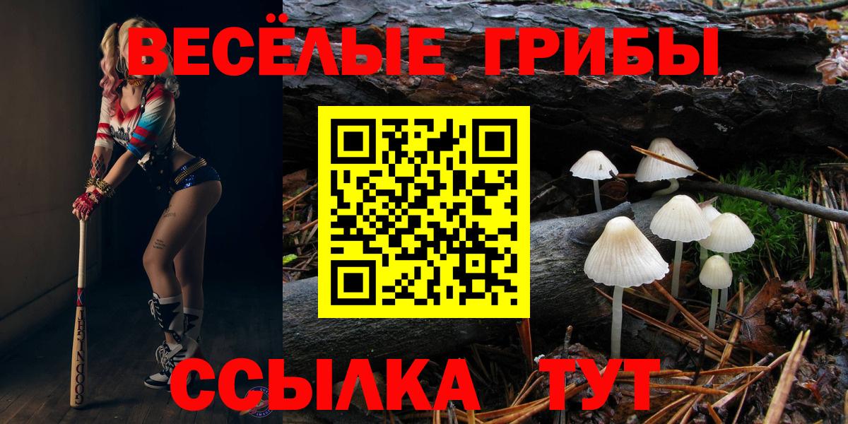 Тулун  Галлюциногенные грибы мухоморы  Вход с VPN 