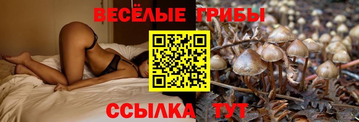 Псилоцибиновые грибы Magic Shrooms Тулун